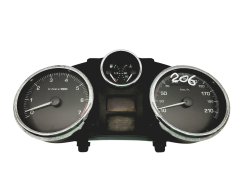 Speedometer/Instrument Cluster Peugeot 206+ 9666636980 Magneti 59114