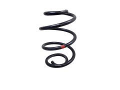 Coil Spring Rear 8200681414 Renault Twingo 2