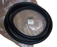 Door Seal Rear Original Renault 769230258R