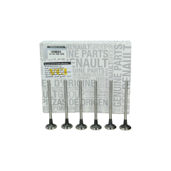 Valve Kit 132020965R Renault