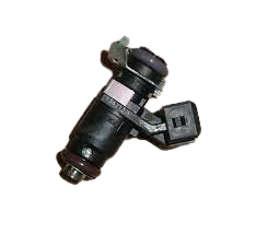 Fuel Injector Original Dacia Duster Logan 2.0 166009398R