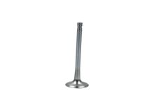 Exhaust Valve For VW Audi Seat Skoda 06D109611L B19008 Borsehung