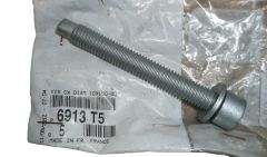 Bolt 10X150-80 New Original 6913.T5 6913T5 Citroen Peugeot