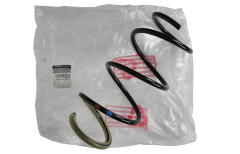 Spring Front Original 540104724R Renault