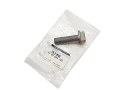 Bolt Renault 8200689705 Original