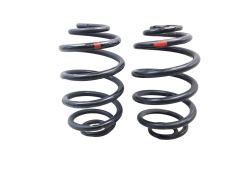 Coil Spring Rear Kit 8200844174 Renault Clio 2