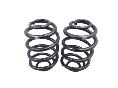 Coil Spring Rear Kit 7700839338 Renault Clio 2