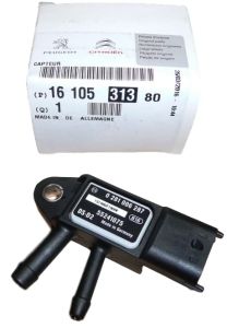 psa1610531380