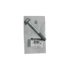 Bolt Original Dacia Renault 7703002700