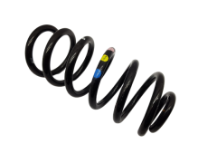 Coil Spring Rear Clio 4 550202966R Renault