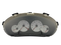 Speedometer/Instrument Cluster Peugeot 206 9656696380 000500610 49212