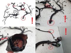 Engine Wiring Harness 240117798R 2.3 dCi Renault Master 3 M9TF716