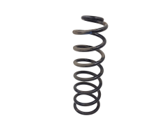 Coil Spring Rear Dacia Sandero Stepway 550209436R