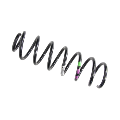 Coil Spring Rear 550200035R Renault