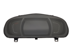 Speedometer/Instrument Cluster Renault Scenic 4 248100254R 7734