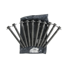 Bolt Kit Original 110560195R Renault Nissan