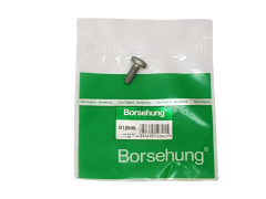 Bolt N91096702 B10646 VW Audi Seat Skoda Borsehung