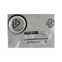 Bearing Seal Renault 3818900QAD