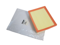 Air Filter Renault Opel Nissan 165460835R Original