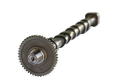 Camshaft 06H109022BC B18980 VW Audi Seat Skoda Borsehung