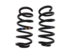 Rear Springs Clio 4 550202996R Grandtour Renault