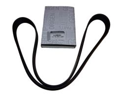 Drive Belt Renault 117202122R Original
