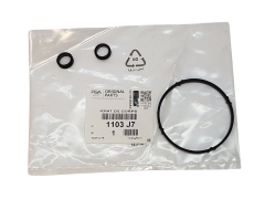Gasket Set Citroen Peugeot 1103J7 1103.J7 Original