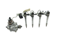 Fuel pump and injectors 0445011500 0445110896 2.0 DCI Renault 18000km