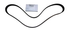 Alternator Belt Original 6PK 117202503R Renault