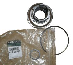 Bearing New Original 305025196R Renault Dacia