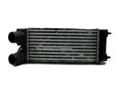 pjj2384