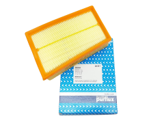 Air Filter Renault Nissan 165466131R A1317 Purflux