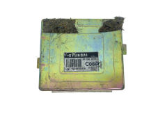 Control Unit Hyundai 39110-02710 S02808200 55518