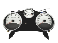 Speedometer/Instrument Cluster Peugeot 207 9666748780 49449