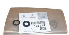 Gaskets, Seals Wtrysku New Original 1981.47 198147 Citroen Peugeot