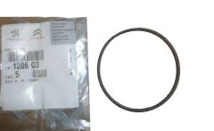 Gasket, Seal Pompy Wody New Original 1206.G3 1206G3 Citroen Peugeot