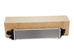 Intercooler Renault Opel Nissan Fiat 144614882R Original