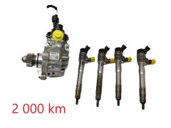 Fuel pump and injectors 0445011500 0445110939 2.0 DCI Renault 2 000km