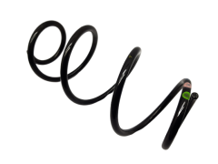 Coil Spring Rear Lodgy 550207521R Dacia 5956