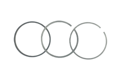 Piston Rings For VW Audi 06E198151B B19051 Borsehung