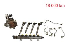Fuel pump and injectors 0445010099 0445115022 Bosch 2.0 dci Renault