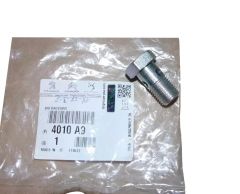 Bolt New Original 4010A9 4010.A9 Citroen Peugeot