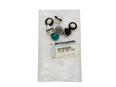 Fixing Clips Kit Renault 768E60898R Original