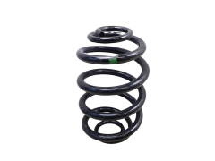Coil Spring Rear 8200844168 Renault Clio 2