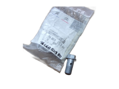 Bolt New Original 1606850980 Citroen Peugeot