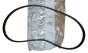 Timing Belt Original Citroen Peugeot 1.6HDI 16v 0816G7