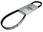 Bar Klinowy 5PK1110 New Original 8200841132 Renault Dacia