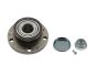 Wheel Hub Rear 6RD501611 B19236 VW Seat Skoda Borsehung