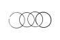 Piston Rings For BMW 11257610297 B10370 Borsehung