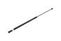 Bonnet Strut 3T0823359 B14197 Skoda Superb 2 Borsehung